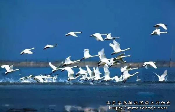 中國(guó)最美高鐵-滬昆鐵路全線開通！