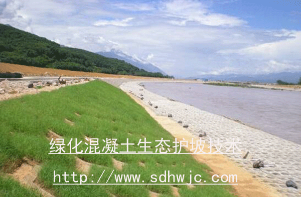 綠色混凝土護坡技術 綠色混凝土護坡技術