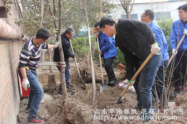 山東華偉銀凱建材科技股份有限公司 植樹活動(dòng)圓滿成功