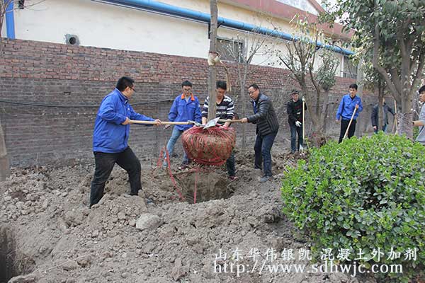 山東華偉銀凱建材科技股份有限公司 植樹活動(dòng)圓滿成功