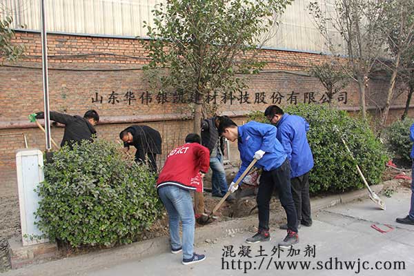 山東華偉銀凱建材科技股份有限公司 植樹活動(dòng)圓滿成功